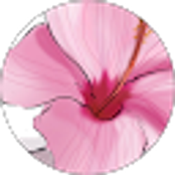 Profile photo of Candace C