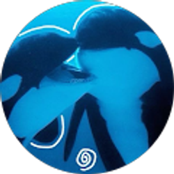 Profile photo of glide