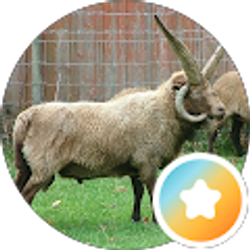 Profile photo of Lynn Calcote