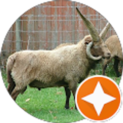 Profile photo of Lynn Calcote