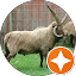 Profile photo of Lynn Calcote