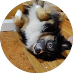 Profile photo of Liam Burke