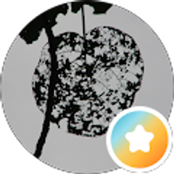 Profile photo of Bev Gilbert Stone