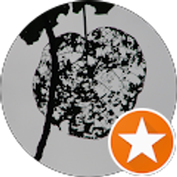 Profile photo of Bev Gilbert Stone