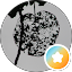 Profile photo of Bev Gilbert Stone