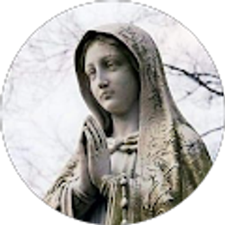 Profile photo of Kelly Peelman