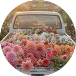 Profile photo of Morgan