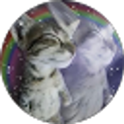 Profile photo of Anitra Rush