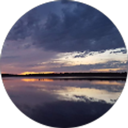 Profile photo of Charles Gibeau