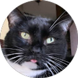 Profile photo of Liz Kenn