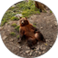 Profile photo of Hunter Mills