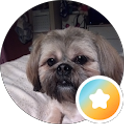 Profile photo of Heather Lewis