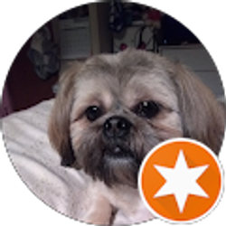 Profile photo of Heather Lewis