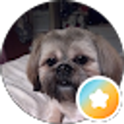 Profile photo of Heather Lewis