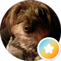Profile photo of Jannetta K Tibbs
