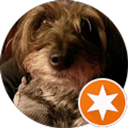 Profile photo of Jannetta K Tibbs