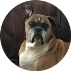 Profile photo of Zach Roberts