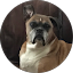 Profile photo of Zach Roberts