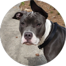 Profile photo of Eric Torres