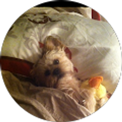 Profile photo of Julia R.