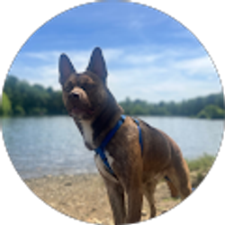 Profile photo of Jeff Shawley