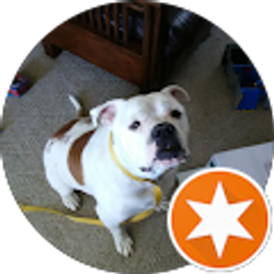 Profile photo of Kat B