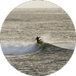 Profile photo of RL Curtice