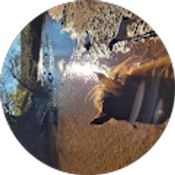 Profile photo of Jane Choate