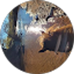 Profile photo of Jane Choate