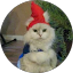 Profile photo of Terry Anne