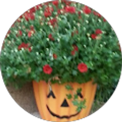 Profile photo of Julie Wilson