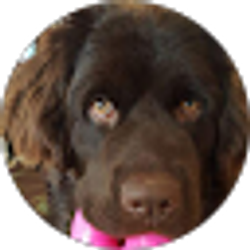 Profile photo of Karen Kephart