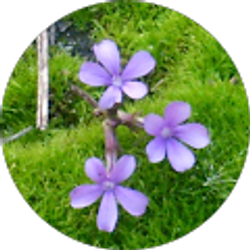 Profile photo of gina hunter