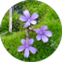 Profile photo of gina hunter