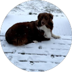 Profile photo of Kathleen Lee