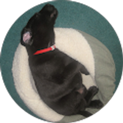 Profile photo of Gregory Cann