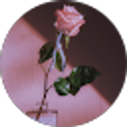Profile photo of Vicki Leon
