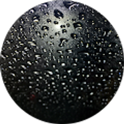 Profile photo of Elliot Hidalgo