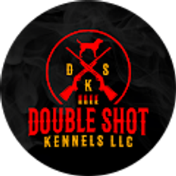 Profile photo of Jennifer Safick