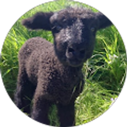 Profile photo of Peggy Thorpe