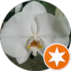 Profile photo of Kai