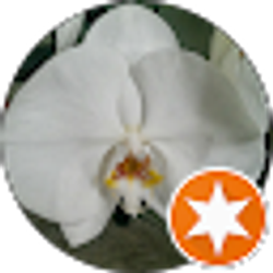 Profile photo of Kai