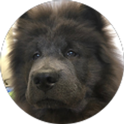 Profile photo of Turgut Ercan