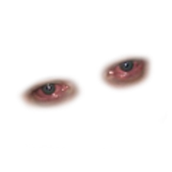 Profile photo of Andre Dominguez