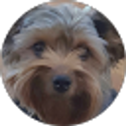 Profile photo of Art Hinojos