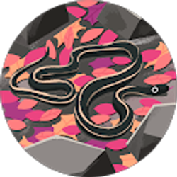 Profile photo of Alianah Halligan