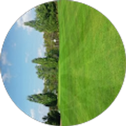 Profile photo of Matt Coss