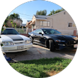 Profile photo of Bats