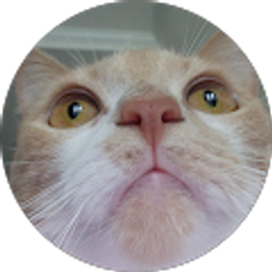 Profile photo of Christopher Ferdinand