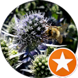 Profile photo of Diane Thieme